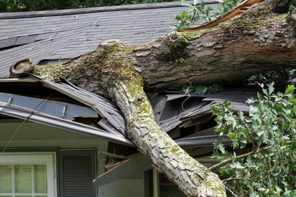 Cost of Storm Remediation in Lancaster