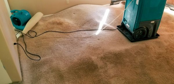 Carpet Water Extraction in Lancaster